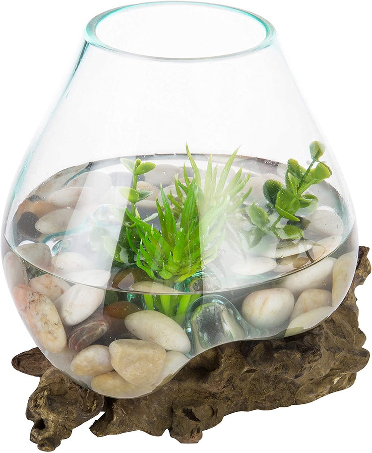 Handcrafted Natural Driftwood Sculpture and Clear Molten Glass Bowl Plant Terrarium-MyGift