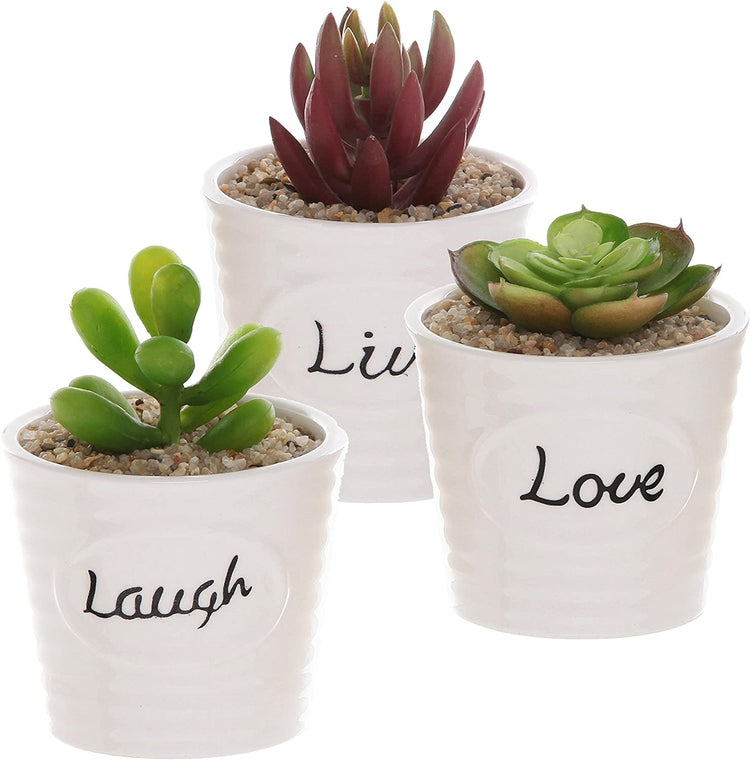 Set of 3 White Ceramic Ribbed Design LIVE LAUGH LOVE Expression Mini Plant Containers-MyGift
