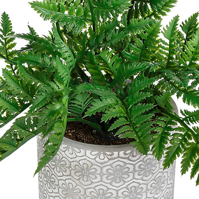 Fake House Plant, Artificial Boston Fern Potted in Embossed Concrete Planter Pot with Fillers-MyGift