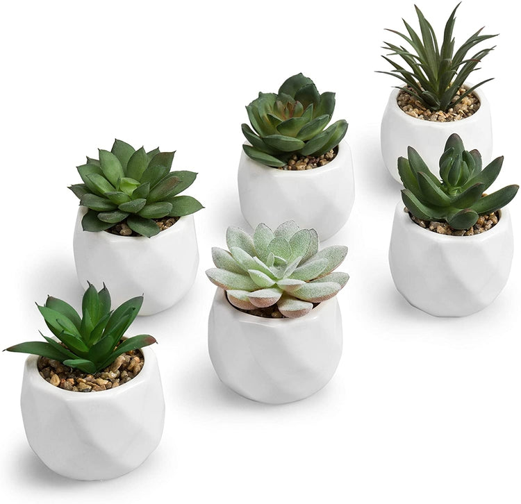 Faux Succulents in Geometric Ceramic Pots, Set of 6-MyGift
