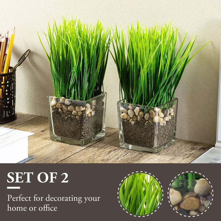 plastic grass plants Artificial Grass Plants in Square Clear Glass Pots with Faux Pebbles and Soil, Potted Greenery, Set of 2