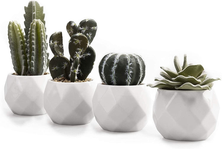 Set of 4 Miniature Assorted Artificial Cactus & Succulent Plants in White Geometric Ceramic Planters-MyGift