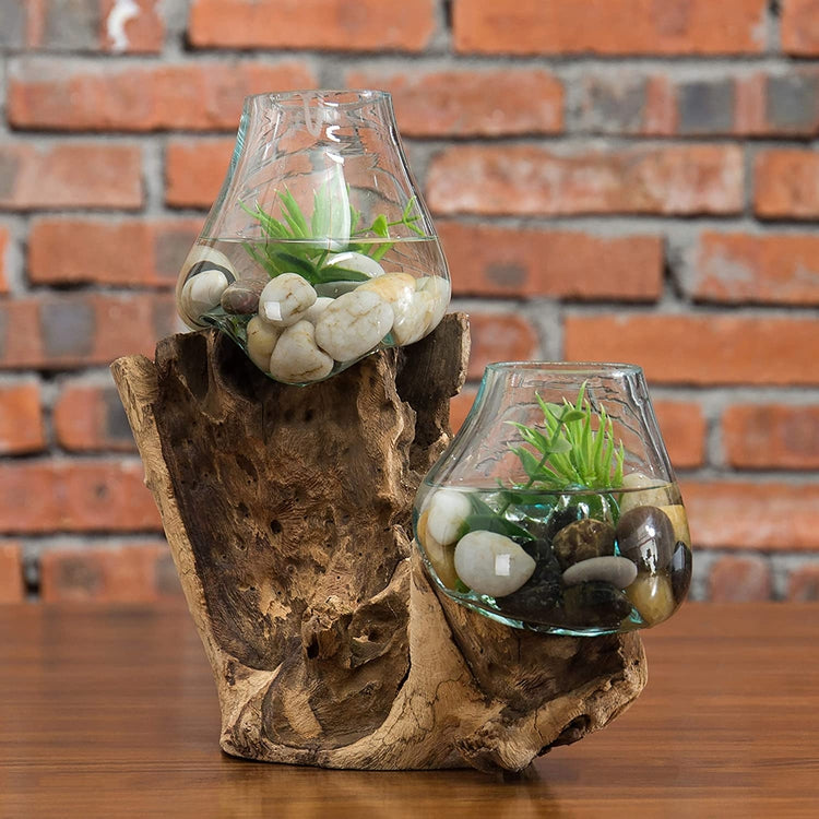2 Clear Handmade Molten Glass Terrarium Bowls with Natural Teakwood Ro