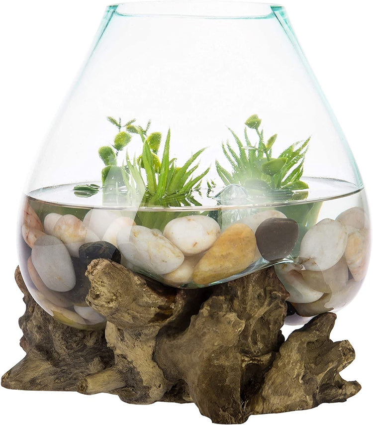 Handcrafted Natural Driftwood Sculpture and Clear Molten Glass Bowl Plant Terrarium-MyGift