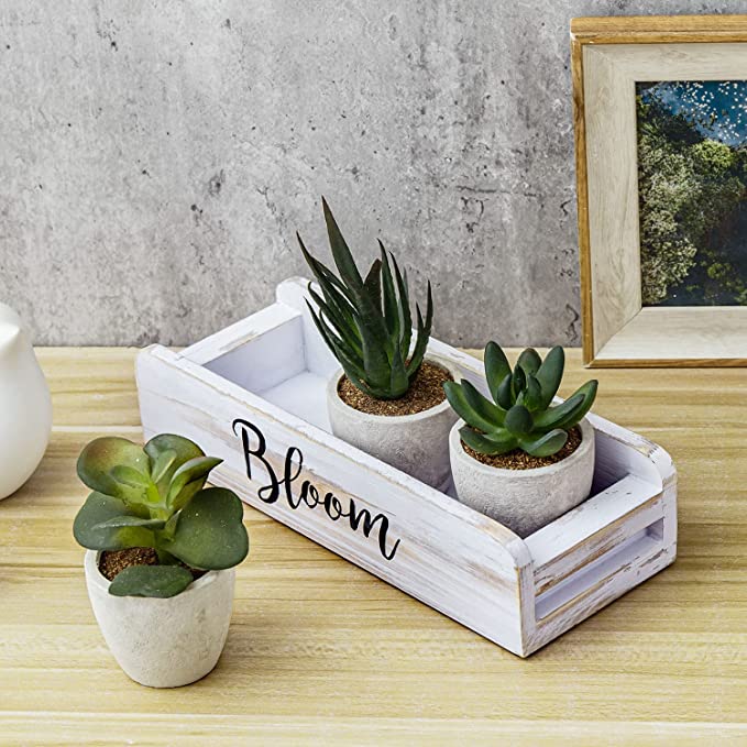 Artificial Succulent Plants in Concrete Gray Planter Pots with Whitewashed Wood Box-MyGift