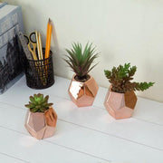 plant pot rose gold Artificial Succulents in Geometric Rose Gold Ceramic Plant Pots, Set of 3