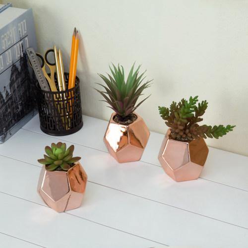 Artificial Succulents in Rose Gold Ceramic Planters, Set of 3 - MyGift