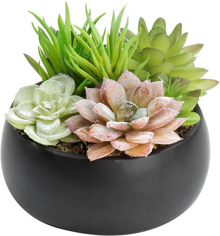 Mini Artificial Succulent Arrangement in Black Ceramic Planter Bowl-MyGift