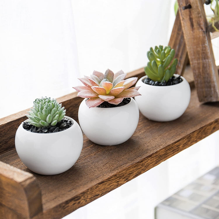 Set of 3 Mini Artificial Succulent Plants in White Ceramic Pots-MyGift