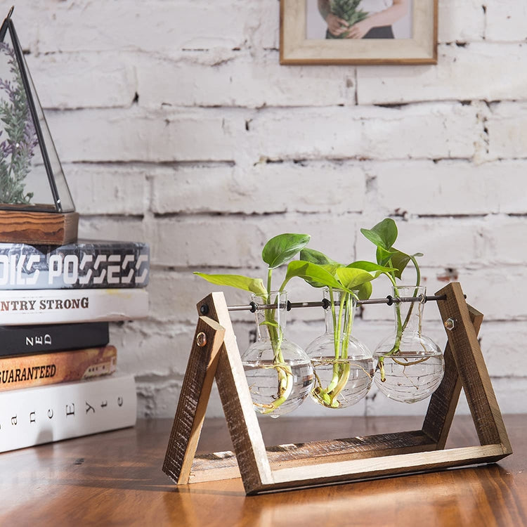 Set of 3 Glass Bulb Planter with Wood & Metal Swivel Standee Steampunk Terrarium-MyGift