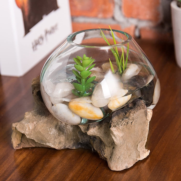 Small Natural Driftwood and Clear Molten Glass Bowl Plant Terrarium, Home Tabletop Decor Vase-MyGift