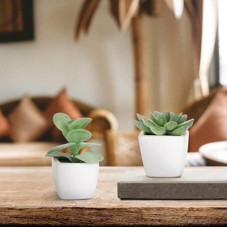 mini succulent pots set of 4 Mini Assorted Artificial Succulent Plants in White Ceramic Pots, Set of 4