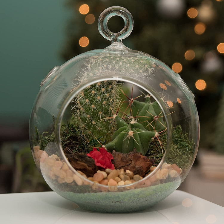 7-Inch Large Clear Glass Hanging Air Plant Terrarium Ball, Votive Candle Holder with Flat Base and Loop Hook-MyGift