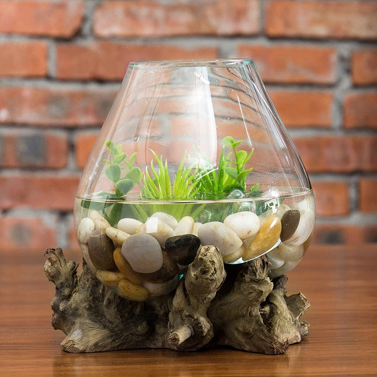 Handcrafted Natural Driftwood Sculpture and Clear Molten Glass Bowl Plant Terrarium-MyGift
