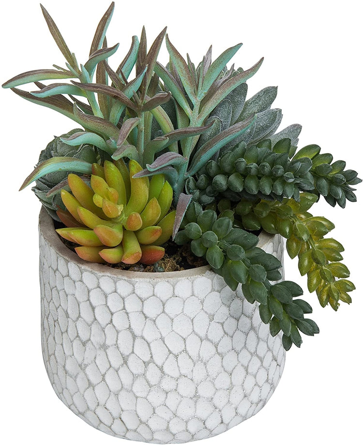 Faux Succulent Plant Arrangement in White and Grey Dimpled Clay Planter-MyGift