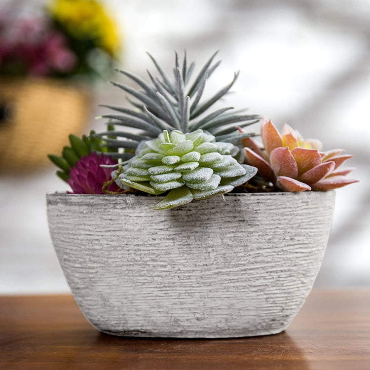7-Inch Assorted Artificial Succulent Plants in Rustic Textured Pulp Pot-MyGift