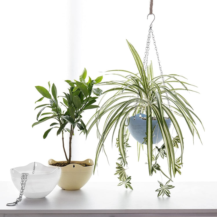 multi hanging planter Multi Colored Self-Watering Flower Pot (Blue, Yellow, White), Set of 3