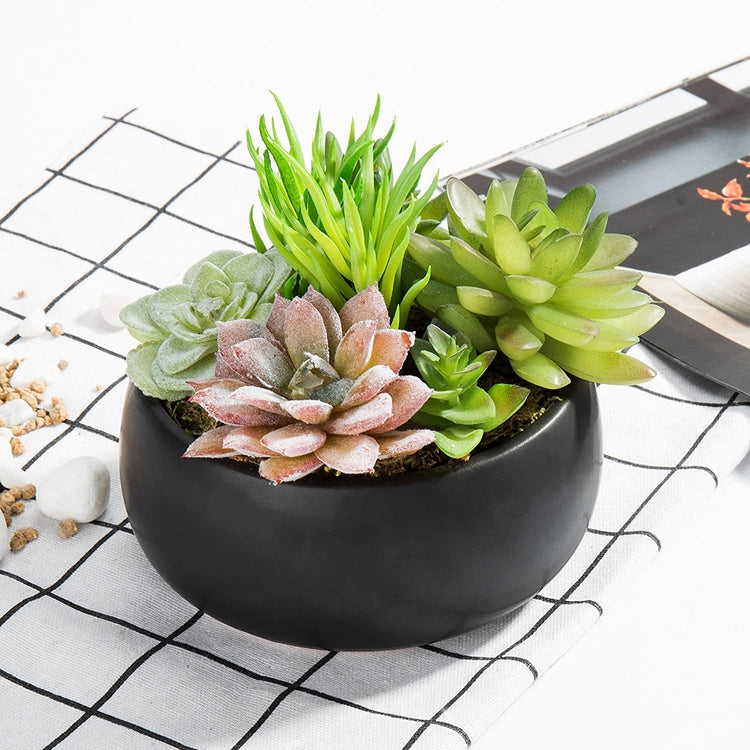 Mini Artificial Succulent Arrangement in Black Ceramic Planter Bowl-MyGift
