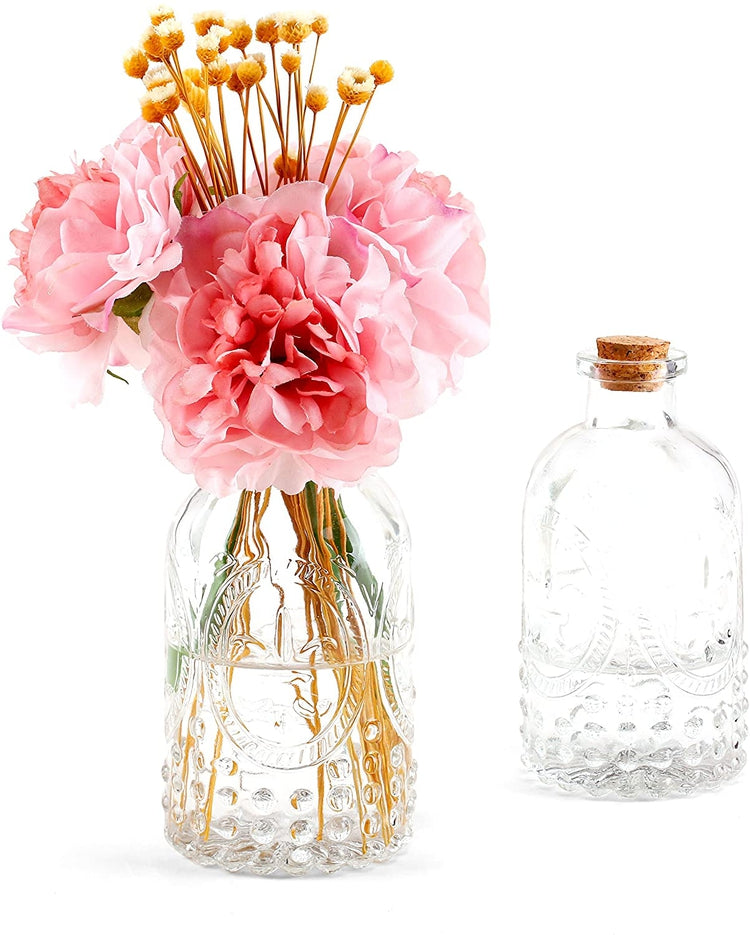 Set of 2, Vintage Embossed Clear Glass Bottles, Apothecary Vase with Cork Lid-MyGift