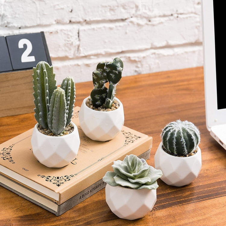 Set of 4 Miniature Assorted Artificial Cactus & Succulent Plants in White Geometric Ceramic Planters-MyGift