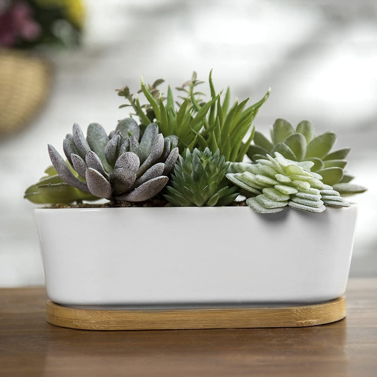 Artificial Succulent Plant Arrangement in White Oval Trough Ceramic Pl
