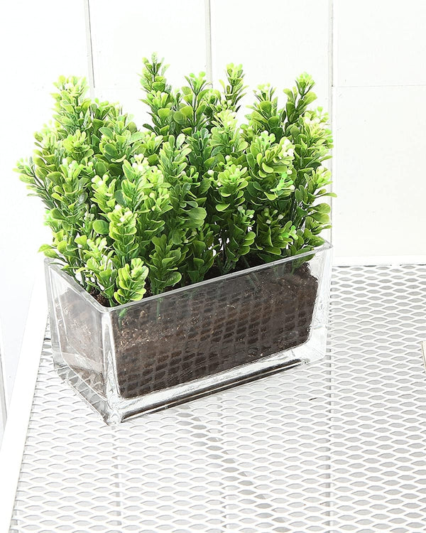 Modern Rectangular Clear Glass Trough Vase, 7.5-Inch Succulent Planter Pot-MyGift