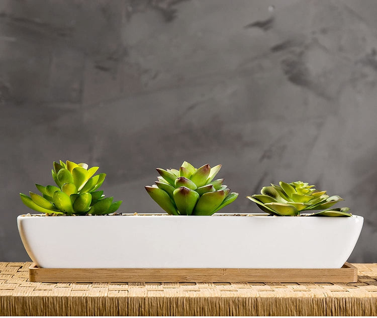 Artificial Succulent Arrangement in 11-Inch Ceramic Planter with Bamboo Tray-MyGift