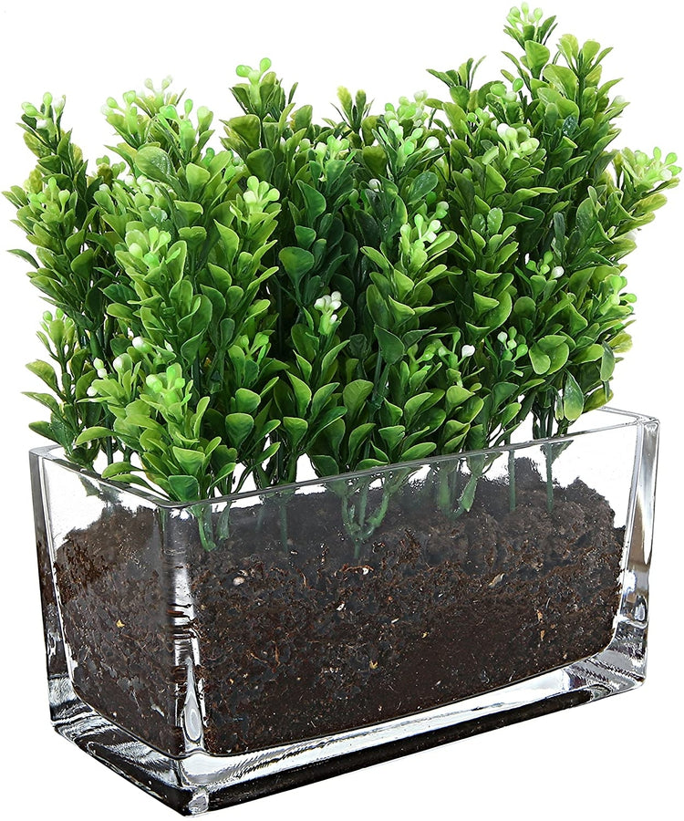 Modern Rectangular Clear Glass Trough Vase, 7.5-Inch Succulent Planter Pot-MyGift