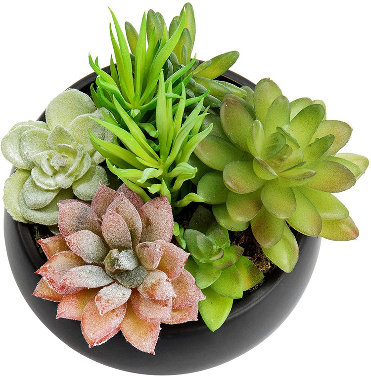small faux succulent arrangements Mini Artificial Succulent Arrangement in Black Ceramic Round Plant Bowl