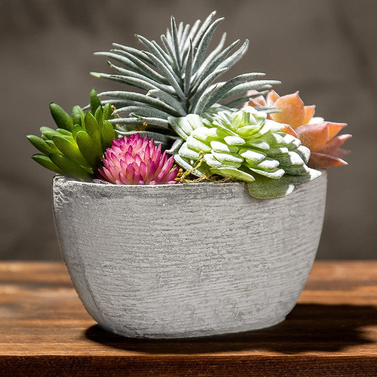 7-Inch Assorted Artificial Succulent Plants in Rustic Textured Pulp Pot-MyGift