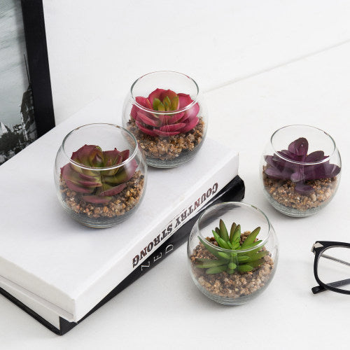 Mini Artificial Succulents in Modern Clear Round Glass Vases, Set of 4-MyGift