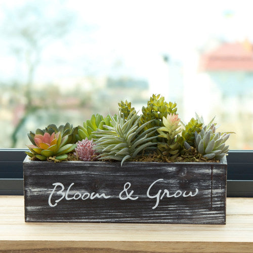 Artificial Succulents w/ Rustic Brown Wood Planter & "Bloom & Grow" Writing-MyGift