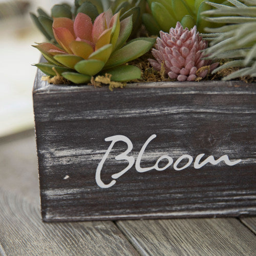 Artificial Succulents w/ Rustic Brown Wood Planter & "Bloom & Grow" Writing-MyGift
