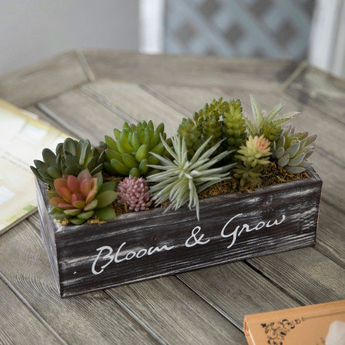 Artificial Succulents w/ Rustic Brown Wood Planter & "Bloom & Grow" Writing-MyGift