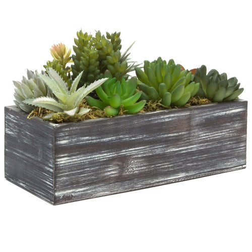 Artificial Succulents w/ Rustic Brown Wood Planter & "Bloom & Grow" Writing-MyGift