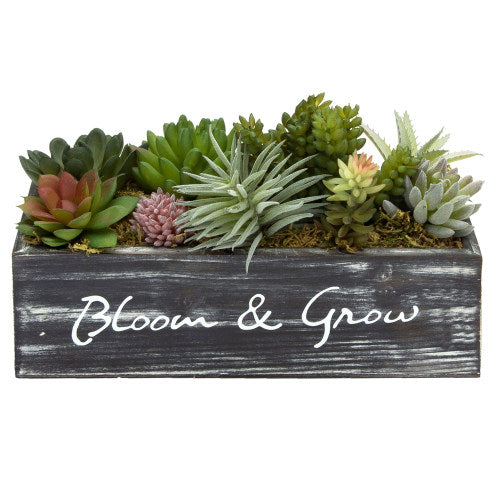 Artificial Succulents w/ Rustic Brown Wood Planter & "Bloom & Grow" Writing-MyGift