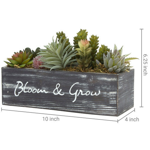 Artificial Succulents w/ Rustic Brown Wood Planter & "Bloom & Grow" Writing-MyGift