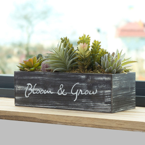 Artificial Succulents w/ Rustic Brown Wood Planter & "Bloom & Grow" Writing-MyGift