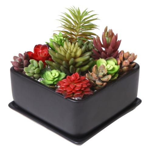 Modern Black Ceramic Square Succulent Planter w/ Tray-MyGift