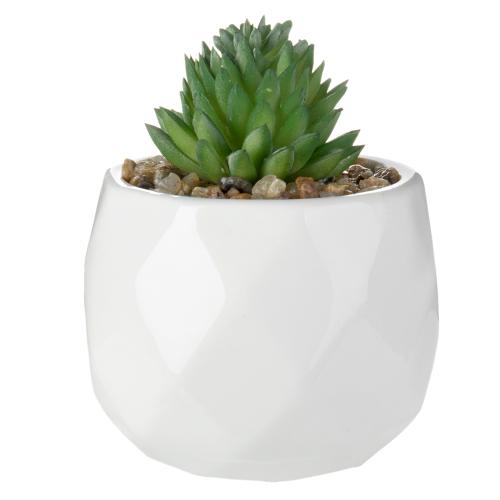 Faux Succulents in Geometric Ceramic Pots, Set of 4-MyGift