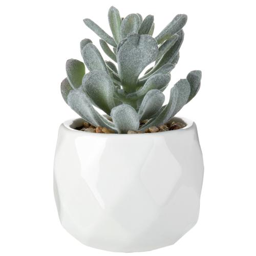Faux Succulents in Geometric Ceramic Pots, Set of 4-MyGift