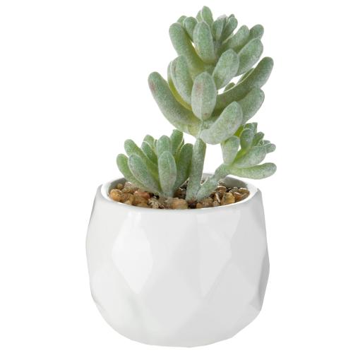 Faux Succulents in Geometric Ceramic Pots, Set of 4-MyGift