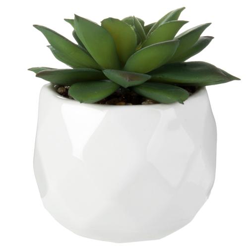 Faux Succulents in Geometric Ceramic Pots, Set of 4-MyGift