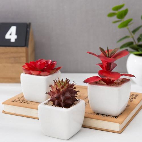 Miniature Red Artificial Succulent in Ceramic Pots, Set of 3 - MyGift