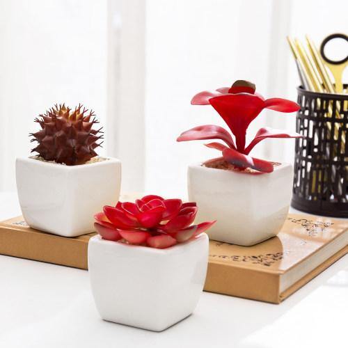 Miniature Red Artificial Succulent in Ceramic Pots, Set of 3 - MyGift
