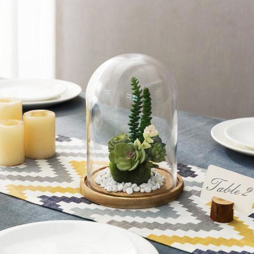 Clear Glass Cloche with Light Brown Wood Base - MyGift
