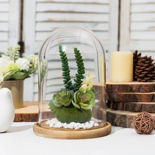 Clear Glass Cloche with Light Brown Wood Base - MyGift