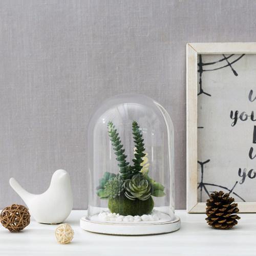 Clear Glass Cloche with White Wood Base - MyGift