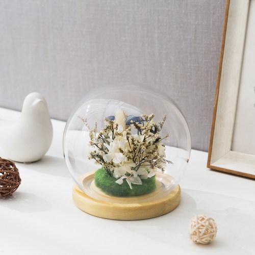 Glass Terrarium & Globe Cloche with Natural Beige Wood Base - MyGift