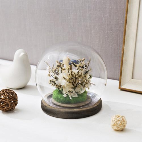 Glass Terrarium & Globe Cloche with Gray Wood Base - MyGift